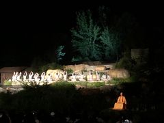 -禅宗少林·音乐大典