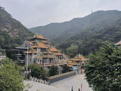 -南海湾森林生态园