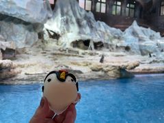 -帝企鹅自助餐厅•儿童岛•真企鹅(长隆企鹅酒店)