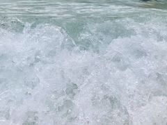 -重庆海昌加勒比海水世界