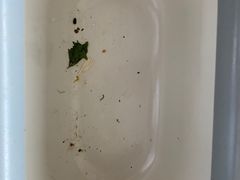 -天鹅到家·保姆月嫂育儿嫂(总店)