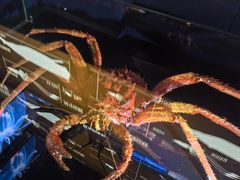 -同济大学四平路校区深海探索馆