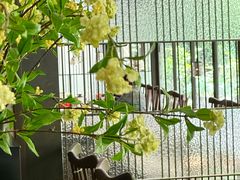 -外婆家(杭州马塍店)