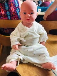 -海豚湾高端月子会所(黄浦店)