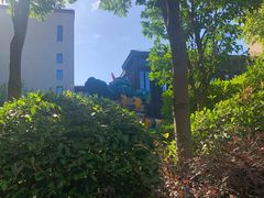 -上海崇明金茂凯悦酒店