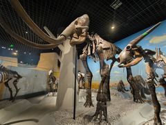 -国家自然博物馆