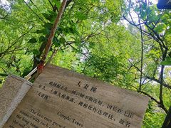 -井塘古村