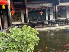 -乐山乌木文化博览苑