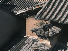 -巍山古城