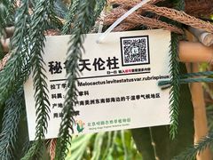 -呀路古热带植物园