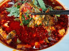 -彭大姐老店黄辣丁(新津店)