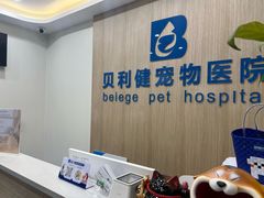 -贝利宠物医院·骨科·眼科·肿瘤转诊中心(南坪诊疗中心)