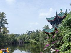 -桂湖森林公园