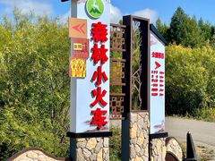 -莫尔道嘎国家森林公园