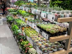 -鹿岛生活(熙地港店)