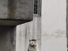 -武汉姚家山旅游景区