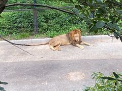 -大连森林动物园