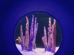 -欢乐海岸海洋奇梦馆