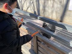 -北京鹿世界主题园
