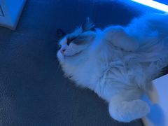 -零纪元VR体验馆·桌游(黄浦店)