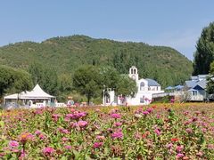 -紫海香堤香草艺术庄园
