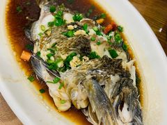 铜盆鱼-洲晓鲜·舟山海鲜大排档(朱家尖风景区店)