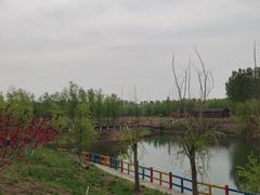 -黄河富景生态世界