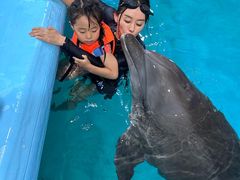 -尼莫海豚馆