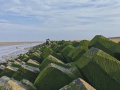 -南汇嘴观海公园