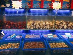 水产区-必点海鲜·鲅鱼水饺(鞍山西道店)