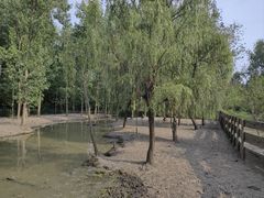 -溱湖国家湿地公园