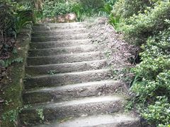 -大金鹰园