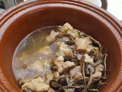 野山茶树菇炖龙骨汤-港湾宴会厅(京基百纳店)