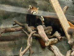 -武汉动物园
