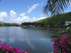 -三亚亚龙湾凯莱仙人掌度假酒店