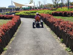 -季高兔窝窝亲子园(上海薰衣草公园店)