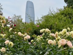 -人民公园(罗湖区)