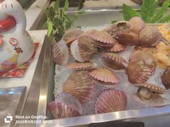 -冀粤香海鲜自助餐厅(西美五洲店)