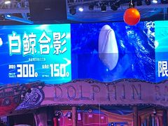 -大连圣亚海洋世界