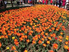 -长春公园(普阳街道)