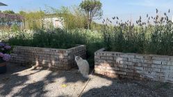 -DORA kids 朵拉儿童摄影花园店