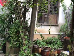 -普洱茶府(博乐广场店)