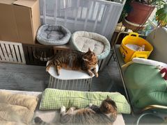 -小时光咖啡馆(北锣鼓巷店)