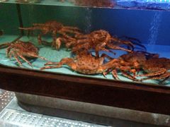 -阿伟海鲜楼·福建菜(延寿店)