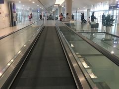 -上海浦东国际机场-T2航站楼