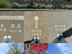 -永定河休闲森林公园