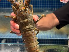 -阳江餐厅·30年老字号·粤菜海鲜大排档