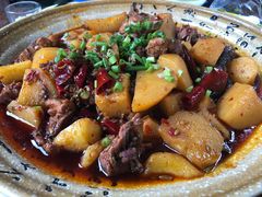 -青城甲(青城山店)