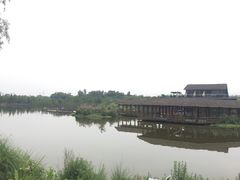 -白鹭湾湿地公园