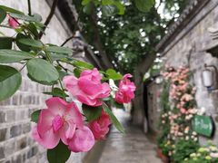 -花·fleur古董西餐厅(西城夜未央店)